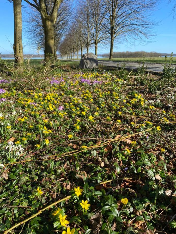 Vibaek Villa Sønderborg Kültér fotó