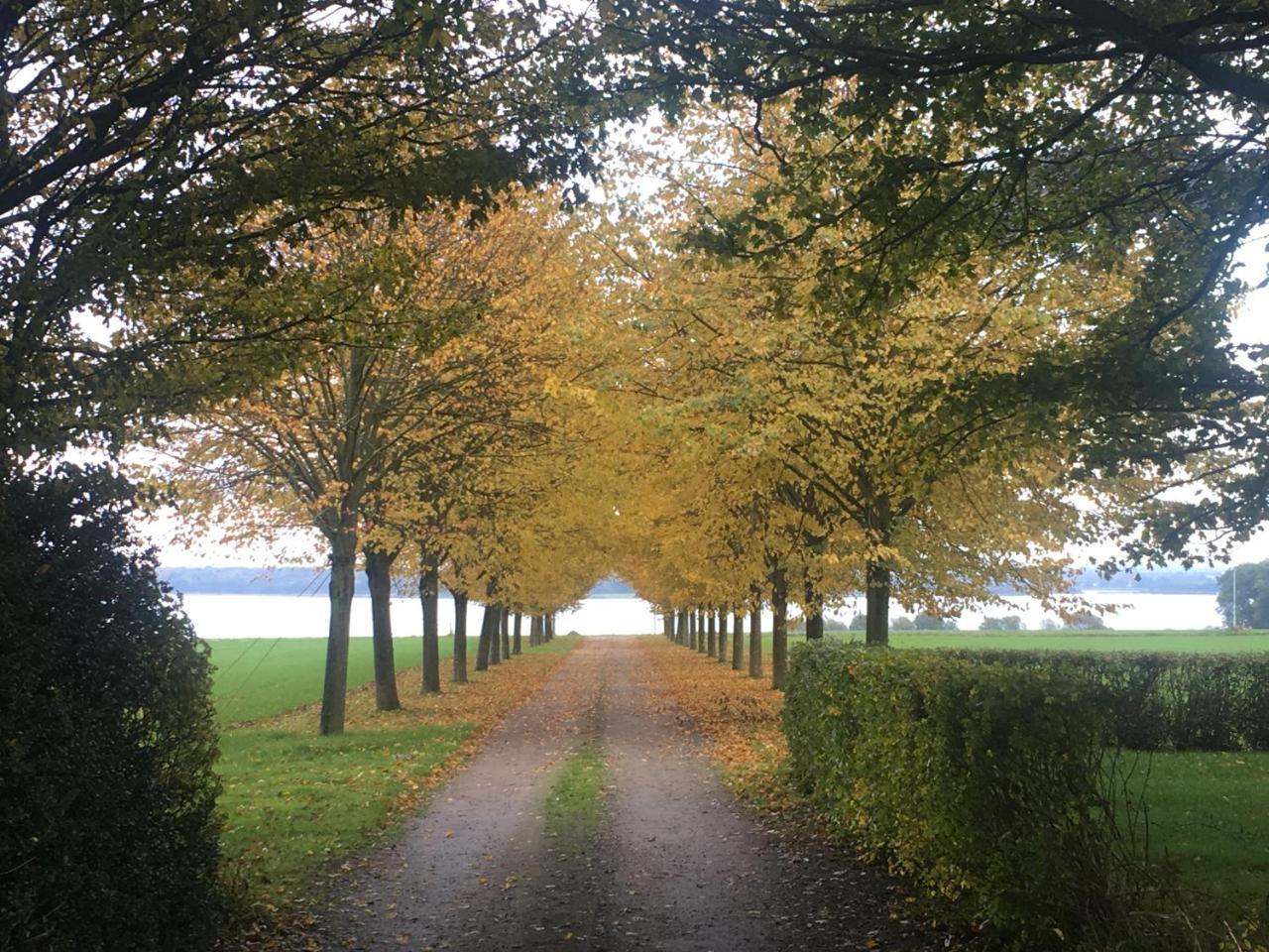 Vibaek Villa Sønderborg Kültér fotó