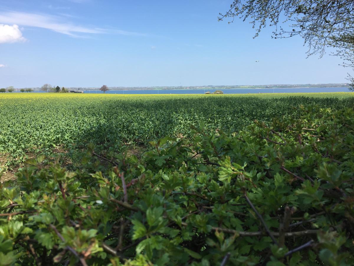 Vibaek Villa Sønderborg Kültér fotó