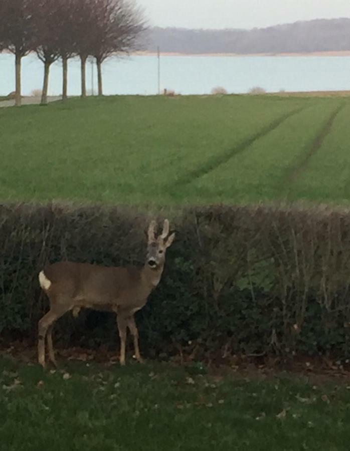 Vibaek Villa Sønderborg Kültér fotó