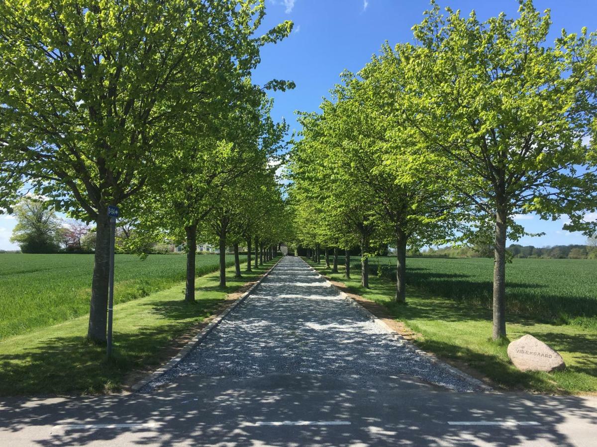 Vibaek Villa Sønderborg Kültér fotó